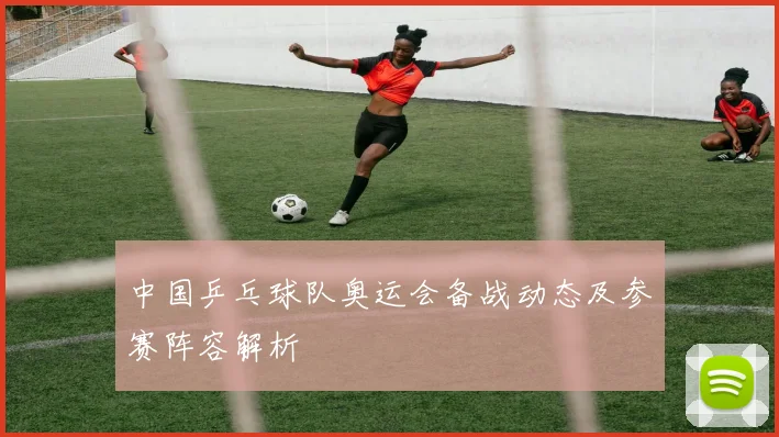 中国乒乓球队奥运会备战动态及参赛阵容解析