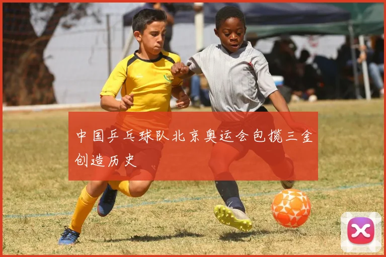 中国乒乓球队北京奥运会包揽三金创造历史
